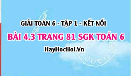 Giải bài 4.3 trang 81 Toán 6 Tập 1 SGK Kết nối tri thức